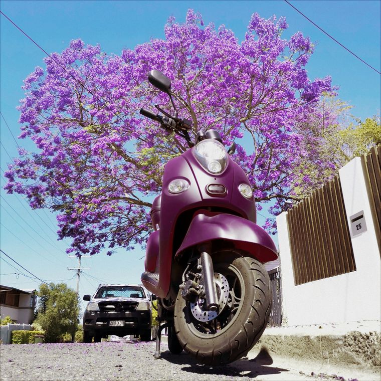 ps_purple_edit_dn_bright_scooter_jacaranda_sharp_IMG_20191024_131407_BURST002.jpg